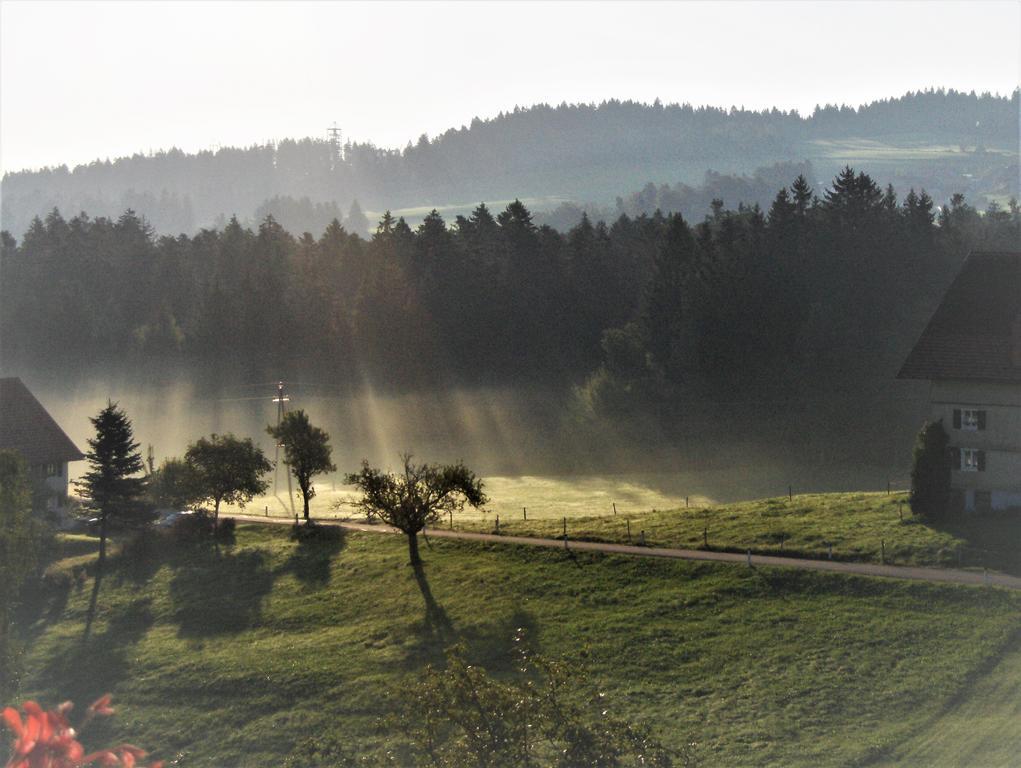 Вилла Bio-Bauernhof Heidegger Moeggers Экстерьер фото