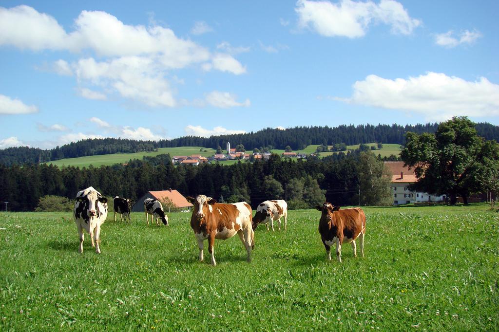Вилла Bio-Bauernhof Heidegger Moeggers Экстерьер фото